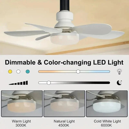🎁 2-in-1 Portable Ceiling Fan with Light (Includes Remote Control)