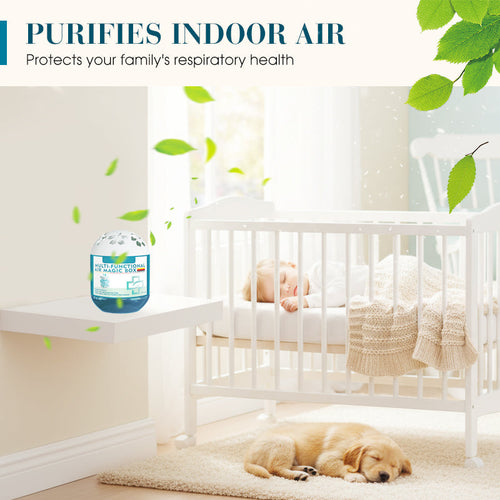 Indoor Air Purification Dust Removal Magic Box🏠🌿