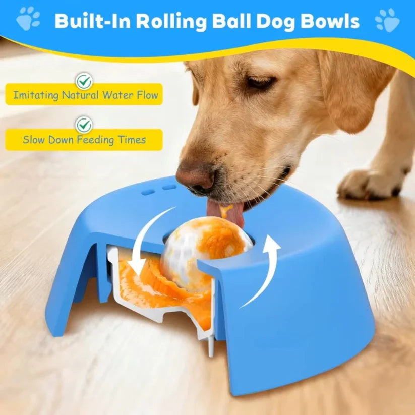 SnackSpin