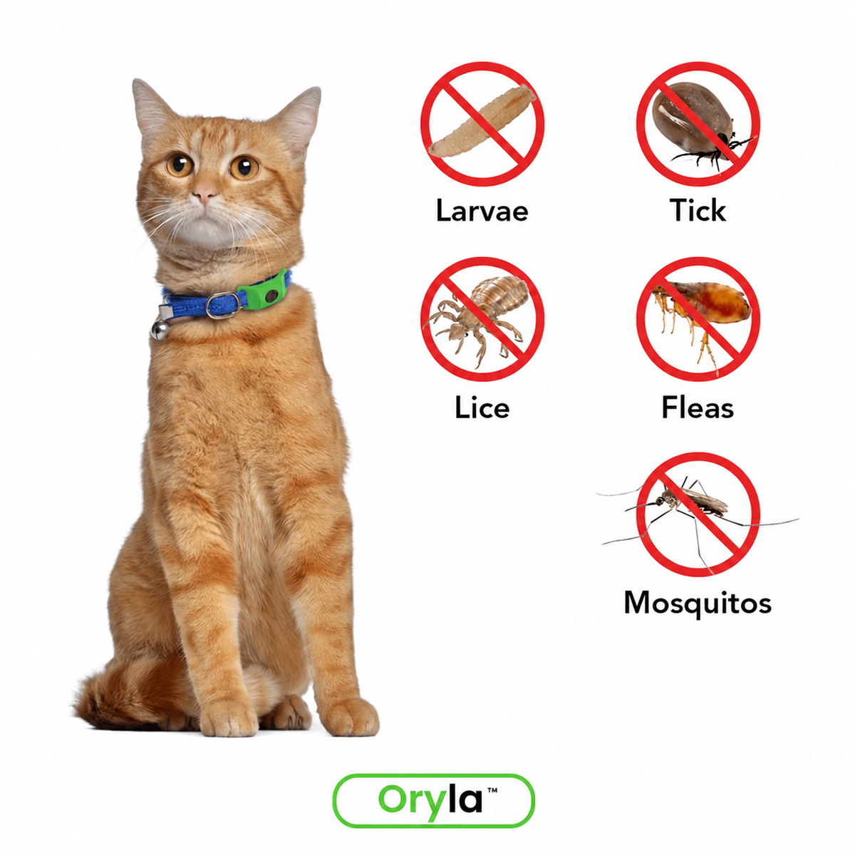 Long‑Lasting Flea & Tick Protection for Pets