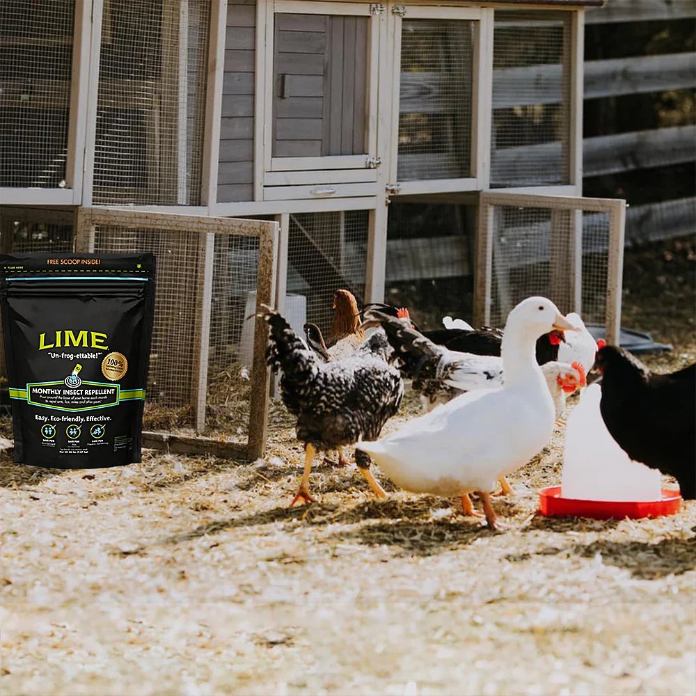 Natural Outdoor Pest Repellent for Ants, Ticks and Fleas