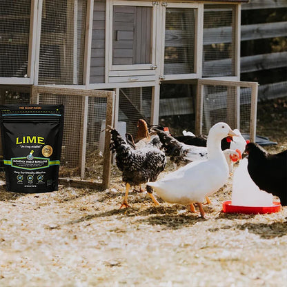 Natural Outdoor Pest Repellent for Ants, Ticks and Fleas