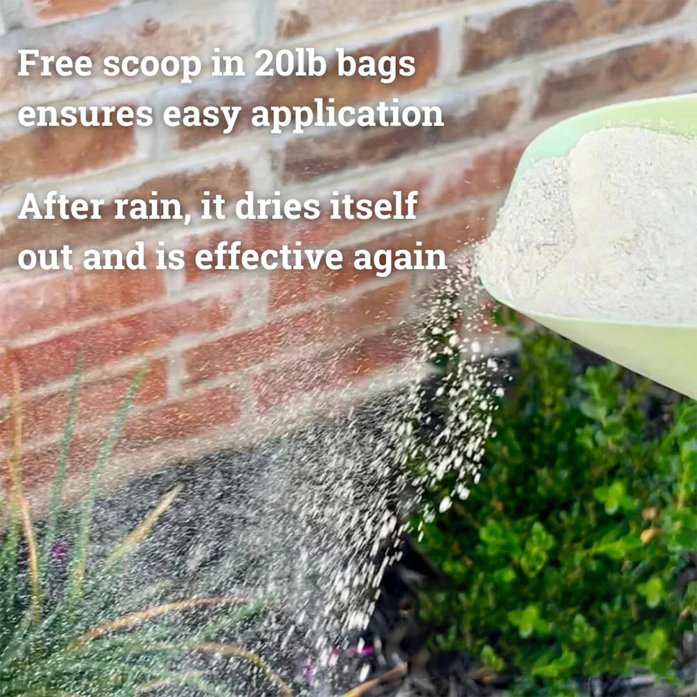 Natural Outdoor Pest Repellent for Ants, Ticks and Fleas