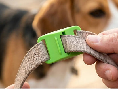 Long‑Lasting Flea & Tick Protection for Pets
