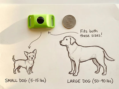 Long‑Lasting Flea & Tick Protection for Pets