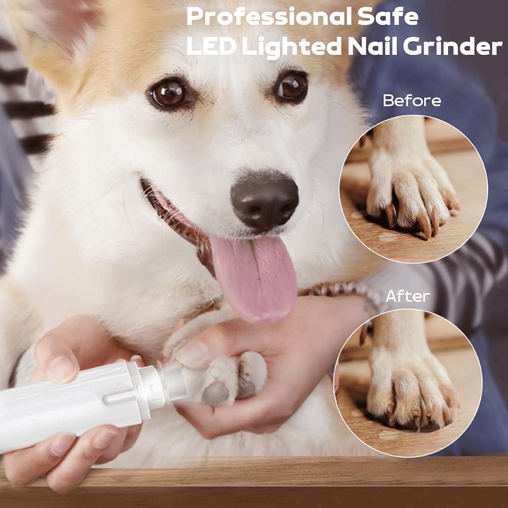 2-in-1 Pet Nail Clipper & Grinder with LED Light