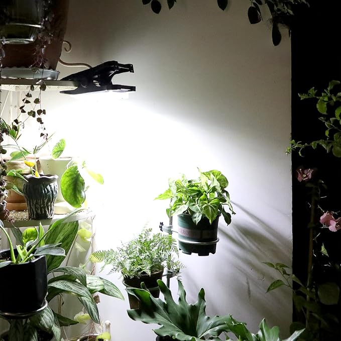 Clip on Solar Lights Outdoor Waterproof