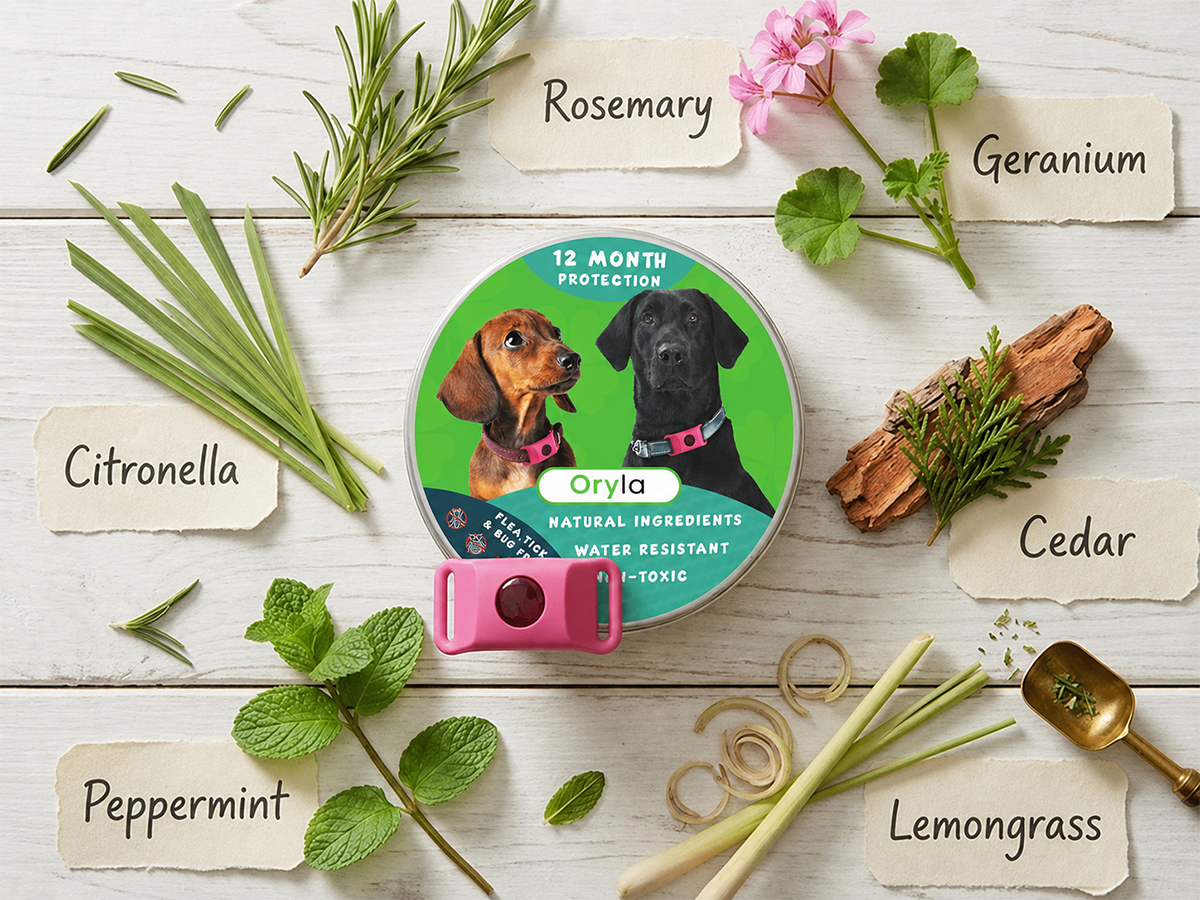 Long‑Lasting Flea & Tick Protection for Pets