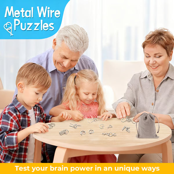 The Best Gift🎁 Metal Montessori Puzzle Solving