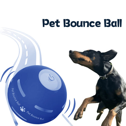 LASY DAY SALE 49% OFF - Pet Bounce Ball
