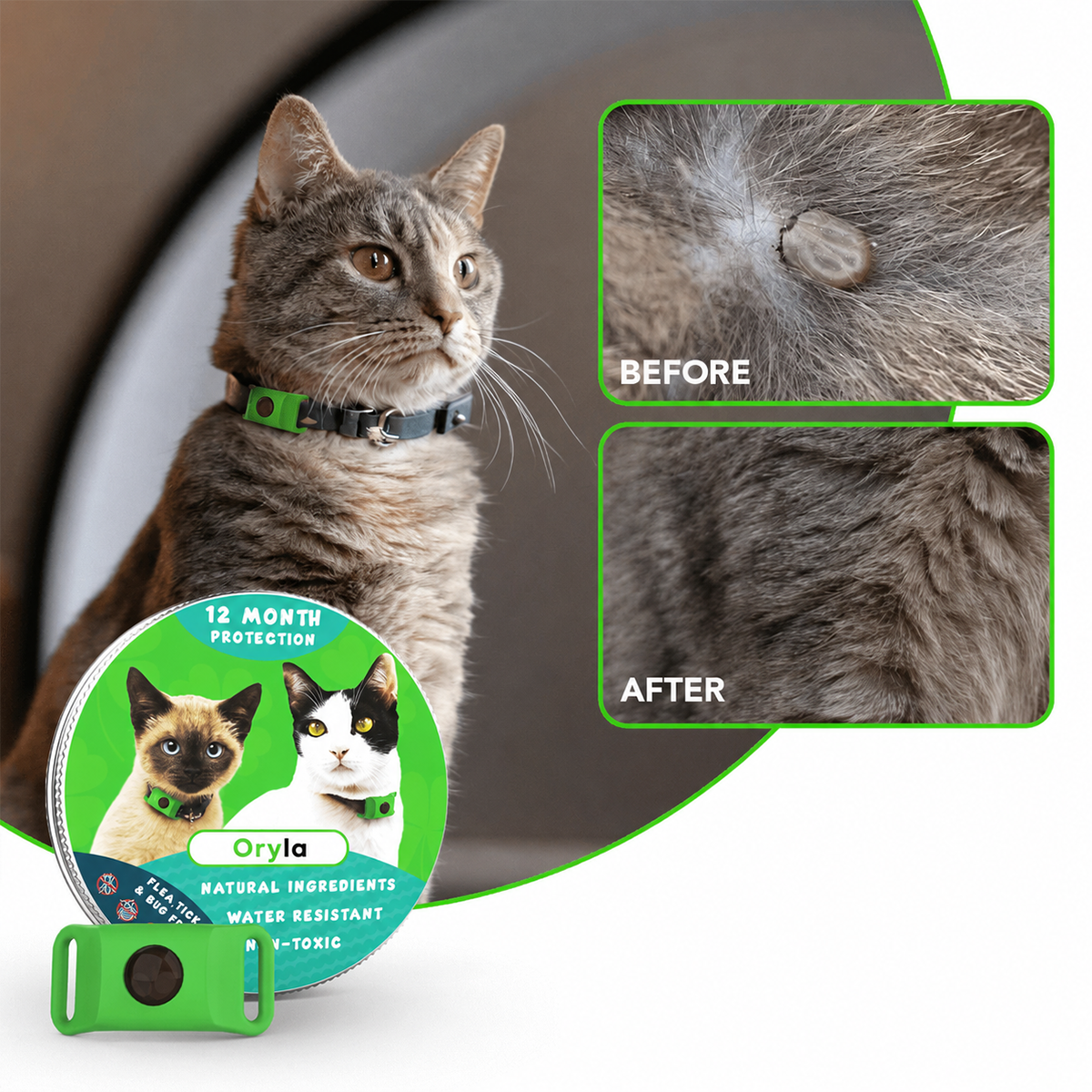 Long‑Lasting Flea & Tick Protection for Pets