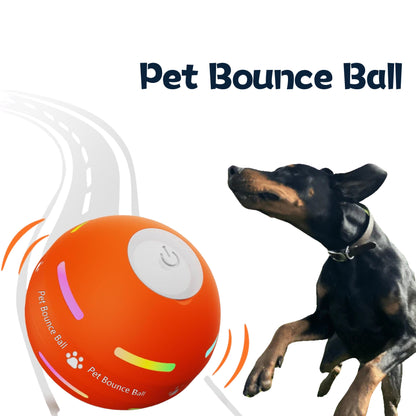 LASY DAY SALE 49% OFF - Pet Bounce Ball