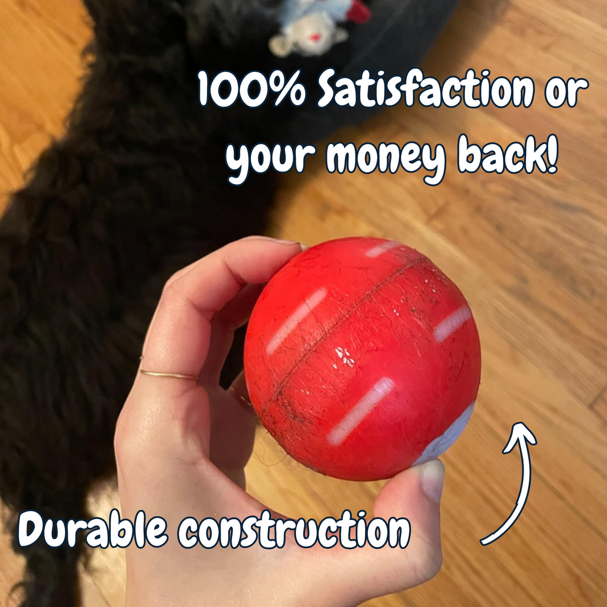 LASY DAY SALE 49% OFF - Pet Bounce Ball