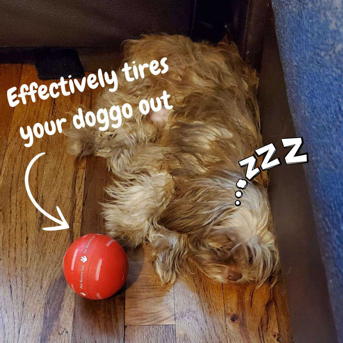 LASY DAY SALE 49% OFF - Pet Bounce Ball