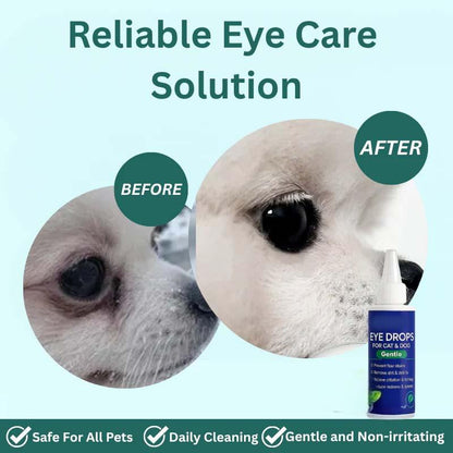 Pet Eye Drops for Dogs & Cats